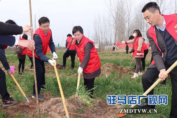 團(tuán)市委開展“綠風(fēng)尚”春季義務(wù)植樹活動