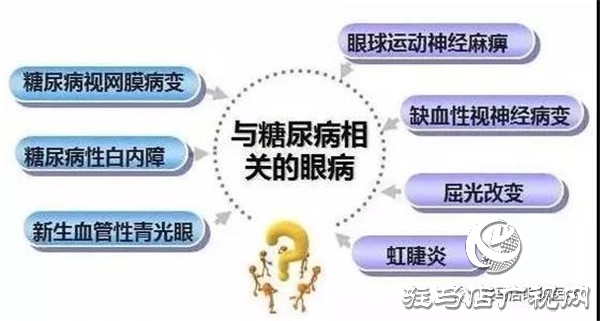 糖尿病視網(wǎng)膜病變公益篩查暨關愛老年人視力送品牌老花鏡活動進行中