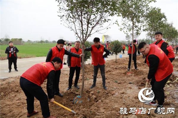 開發(fā)區(qū)冬季義務(wù)植樹活動(dòng)隆重舉行