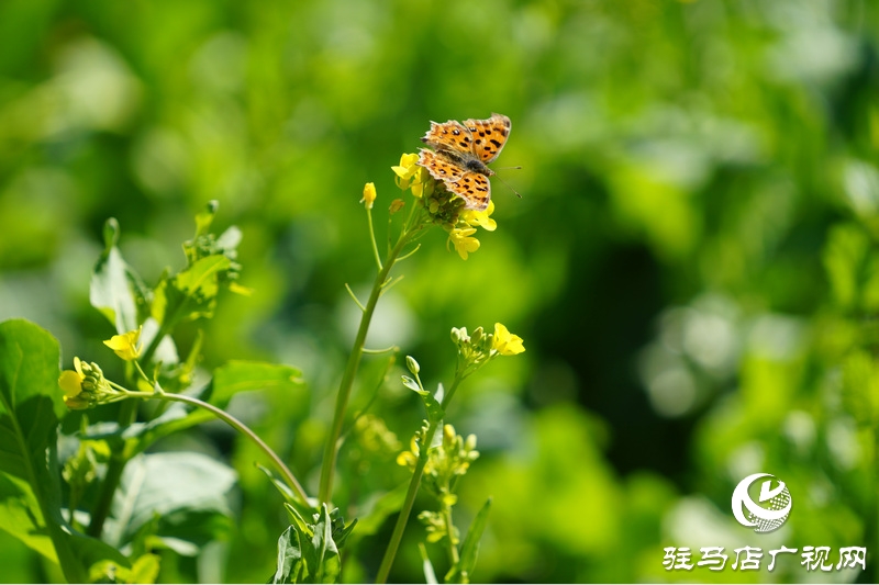 我們堅(jiān)守，為了早日重逢