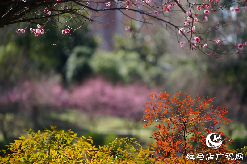 我們便可一起走出家門(mén)