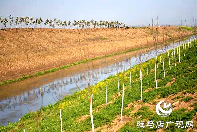 上蔡縣召開去冬今春國土綠化觀摩評比會