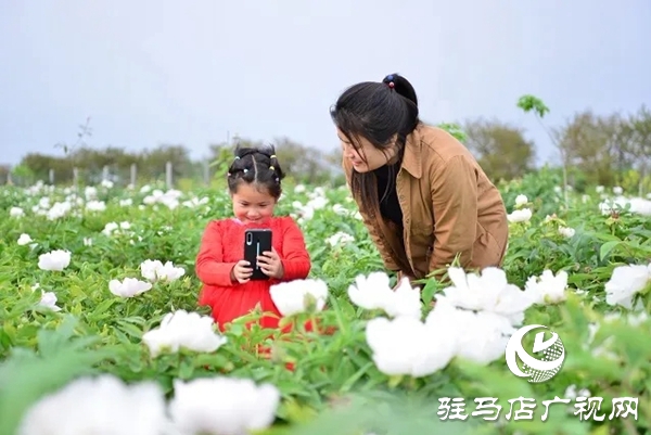 上蔡縣班閆村:產業(yè)發(fā)展“敲開”群眾脫貧致富之門