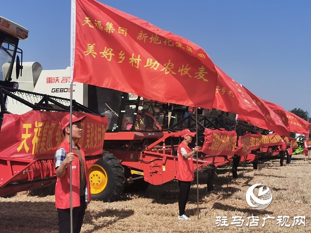 天福、新地花生集團(tuán)助農(nóng)收麥忙 三夏時(shí)節(jié)確保顆粒歸倉(cāng)