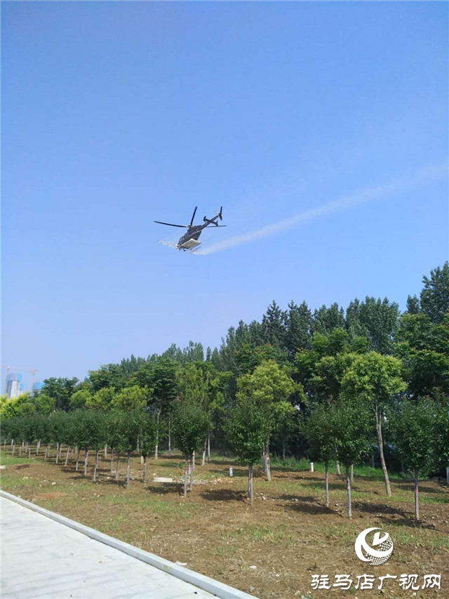 泌陽縣實(shí)施飛機(jī)噴灑防治美國白蛾和楊樹食葉害蟲