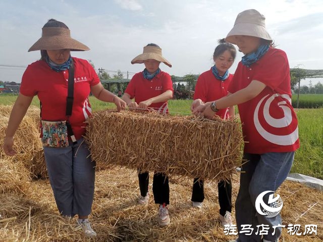 黃淮學(xué)院藝術(shù)設(shè)計學(xué)院:在鄉(xiāng)村振興的大地上唱響青春之歌