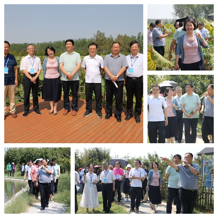 河南省雜文名家“聚焦平輿白芝麻產(chǎn)業(yè)發(fā)展”采風(fēng)活動(dòng)啟動(dòng)暨藍(lán)天芝麻小鎮(zhèn)采風(fēng)基地揭牌儀式舉行