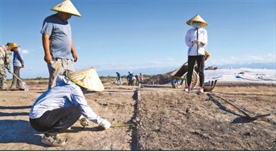 遺址格局逐步清晰，歷史文化內(nèi)涵日益豐富  北庭故城考古發(fā)現(xiàn)不斷深入