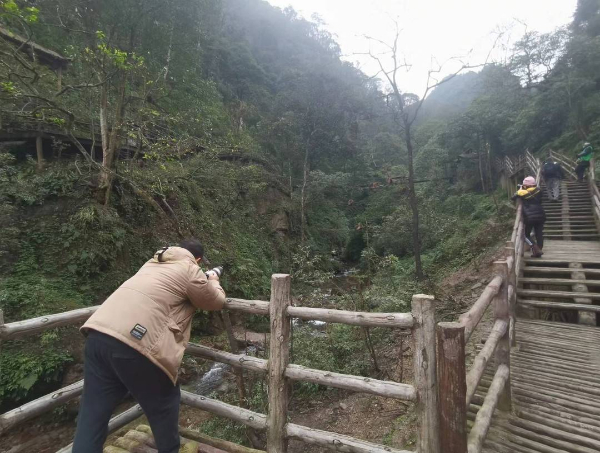 峨眉山猴子被拘留？假的！峨眉山猴子是國家二級保護(hù)動物