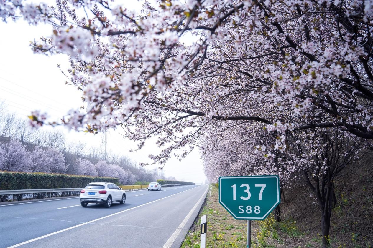 網(wǎng)友評(píng)選首屆“河南最美公路”榜單發(fā)布