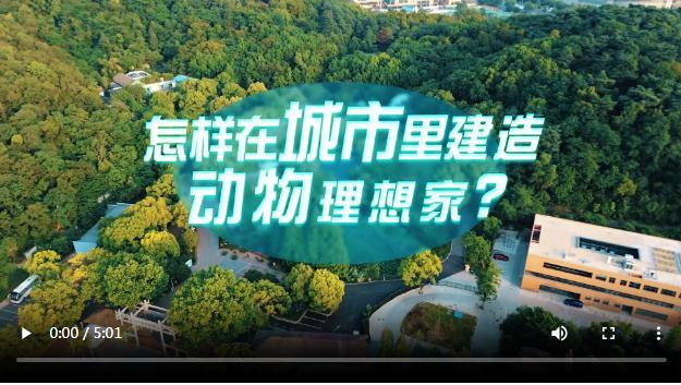 中國式現(xiàn)代化·青年的回答丨怎樣在城市里建造動物理想家？