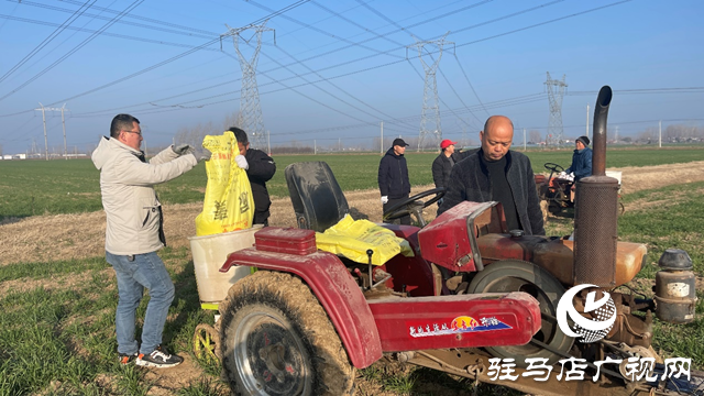 雨雪寒潮來臨 專家提醒：麥田趁雪追肥 促弱轉(zhuǎn)壯奪豐收