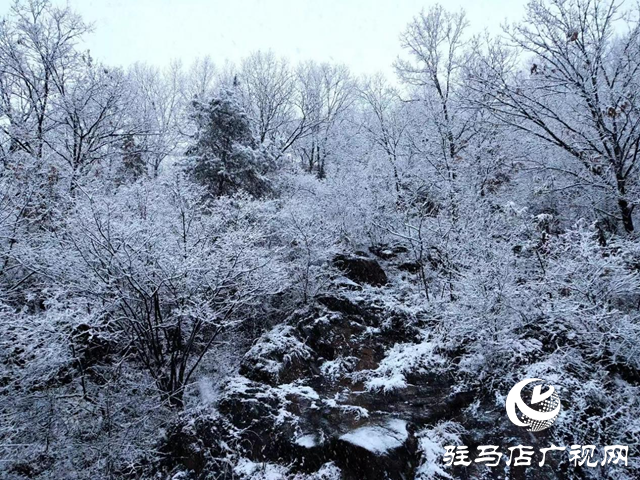 大雪來襲! 駐馬店市多個景區(qū)臨時關閉