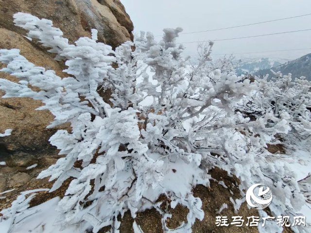 美呆了！羅漢山開啟雪凇、霧凇雙景齊現(xiàn)模式