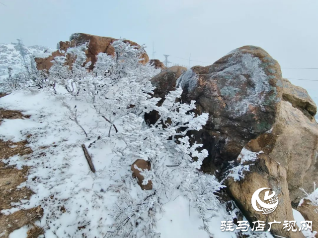 美呆了！羅漢山開啟雪凇、霧凇雙景齊現(xiàn)模式