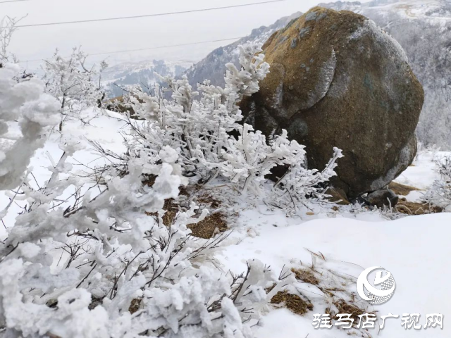 美呆了！羅漢山開啟雪凇、霧凇雙景齊現(xiàn)模式