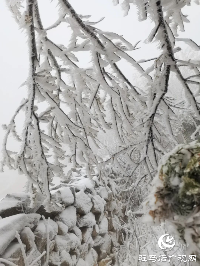 美呆了！羅漢山開啟雪凇、霧凇雙景齊現(xiàn)模式