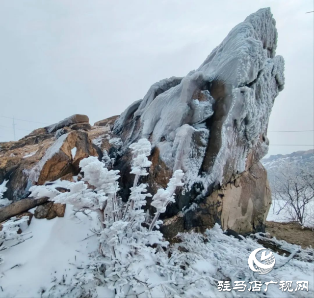 美呆了！羅漢山開啟雪凇、霧凇雙景齊現(xiàn)模式