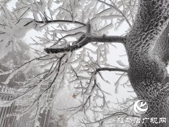 美呆了！羅漢山開啟雪凇、霧凇雙景齊現(xiàn)模式