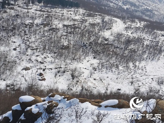 羅漢山：雪霽初晴 群山巍峨“舞銀龍”