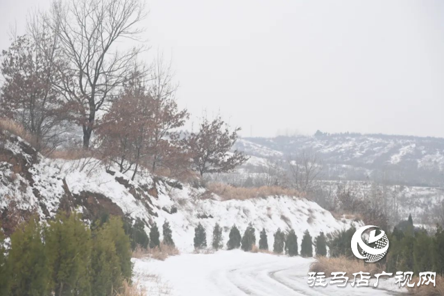 盤古山：晨起開門雪滿山 雪晴云淡日光寒