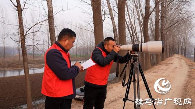 寒冬，他們在宿鴨湖濕地守護候鳥