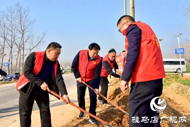 平輿縣四個班子領導與縣直各單位干部職工一起參加義務植樹