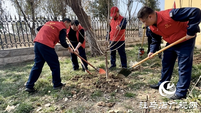  攜手植綠護(hù)綠 共建美好家園