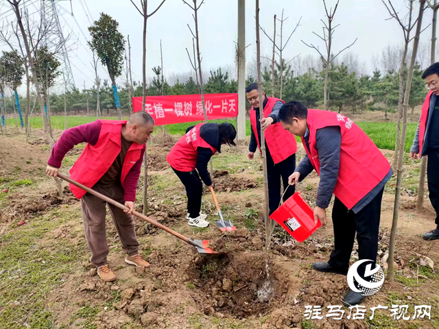 手植一棵樹(shù) 綠化一片天