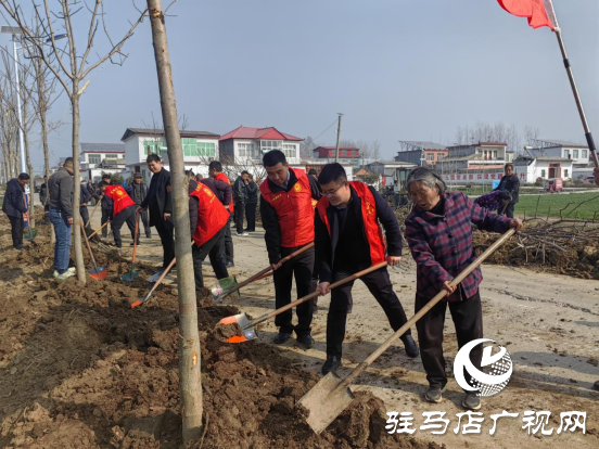 平輿縣李屯鎮(zhèn)組織開展2024年全民義務(wù)植樹志愿服務(wù)活動