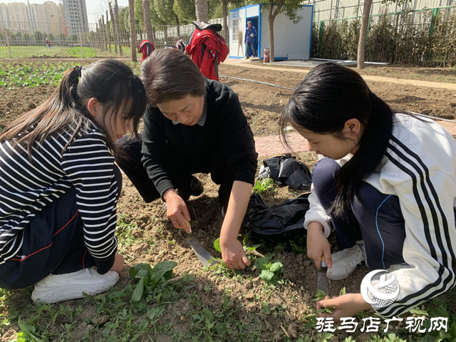 駐馬店市實驗中學師生：走進自然 感受勞動之美