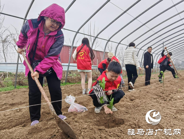 駐馬店市消維會(huì)開展公益植樹活動(dòng)