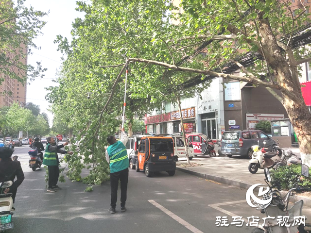 駐馬店經(jīng)濟開發(fā)區(qū)：及時處置樹木斷枝 構(gòu)造綠色安全防線