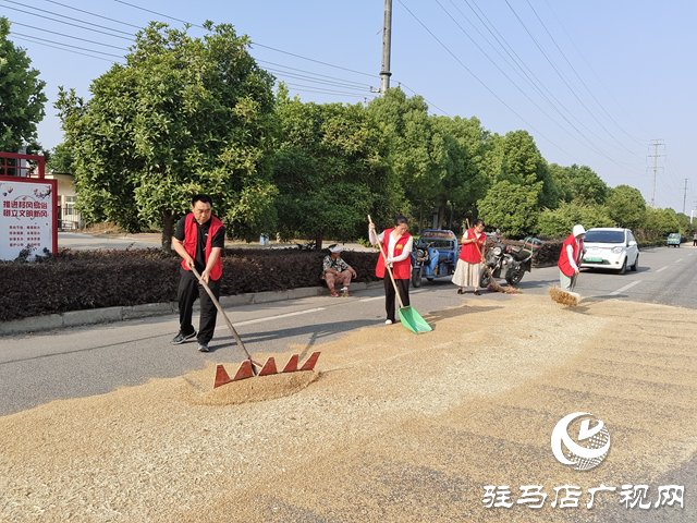 駐馬店經(jīng)濟開發(fā)區(qū)賈莊居委會成立“三夏”生產(chǎn)服務(wù)應(yīng)急小分隊幫助群眾收麥