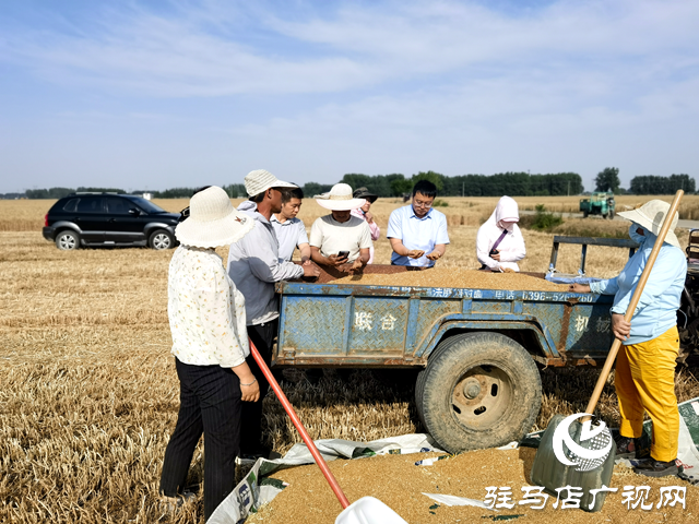 平輿縣陽城鎮(zhèn)：助力農(nóng)機(jī)辦實事 添足馬力助夏收