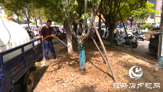 及時澆水 藥液滴灌 驛城區(qū)園林部門搶救游園干枯樹木