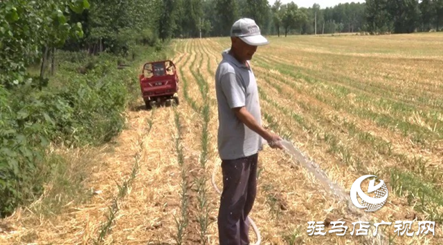 遂平縣：中小型水庫(kù)及時(shí)開(kāi)閘放水保夏種