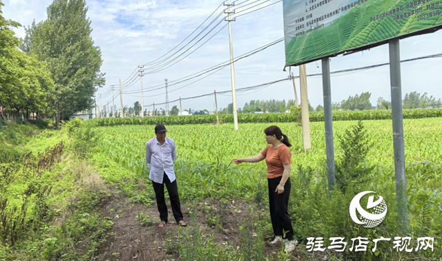 暴雨過后如何防范農(nóng)田內(nèi)澇？農(nóng)業(yè)專家支招