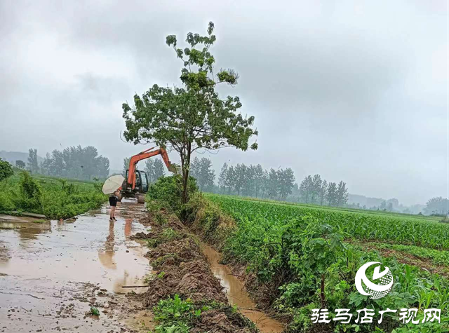 驛城區(qū)蟻蜂鎮(zhèn)：全面做好降雨應對工作 筑牢汛期安全屏障