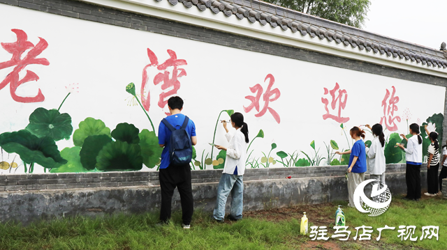 北京師范大學在平輿開展“藝”心向農暑期社會實踐活動