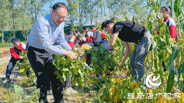 體驗(yàn)豐收快樂 收獲成長(zhǎng)果實(shí)