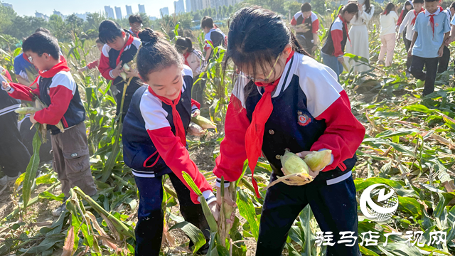 體驗(yàn)豐收快樂 收獲成長(zhǎng)果實(shí)