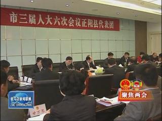 余學(xué)友參加正陽縣代表團審議政府工作報告（視頻）