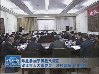 陳星參加平輿代表團審議市人大常委會、法檢兩院工作報告（視頻）